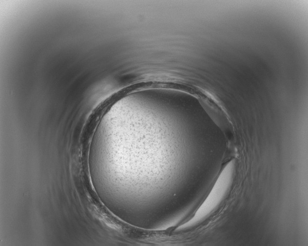 X0000081470971200701191801