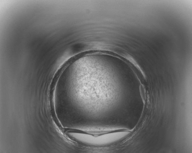 X0000081470972200701191801