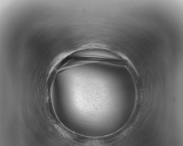 X0000081470973200701191801