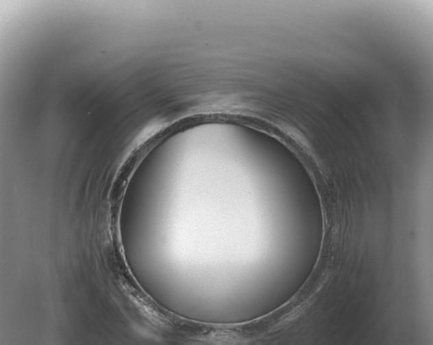 X0000081470974200701191801