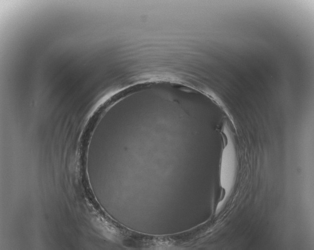 X0000081470975200701191801