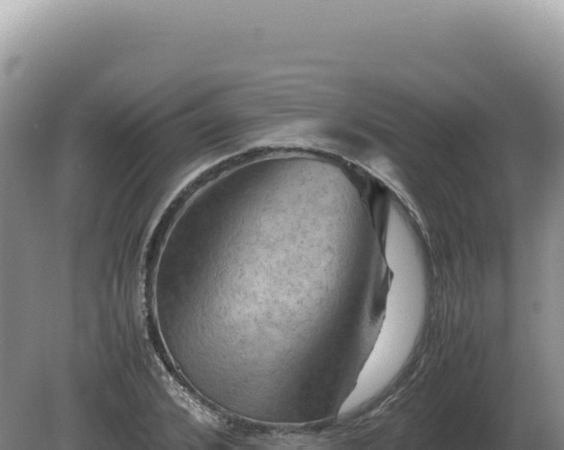 X0000081470976200701191801