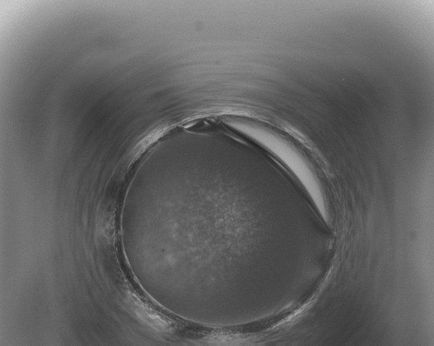 X0000081470977200701191801