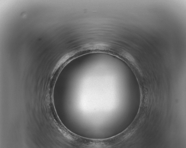 X0000081470978200701191801