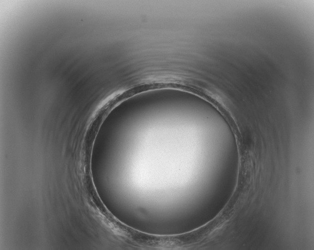 X0000081470979200701191801