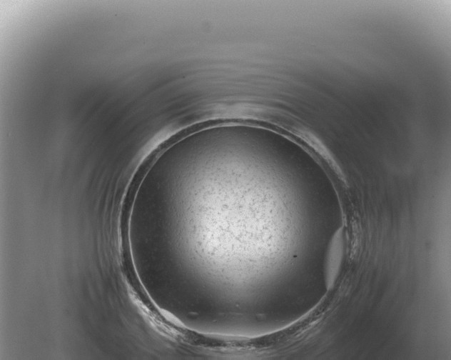 X0000081470980200701191801