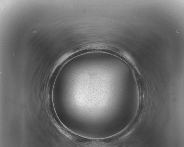 X0000081470981200701191801