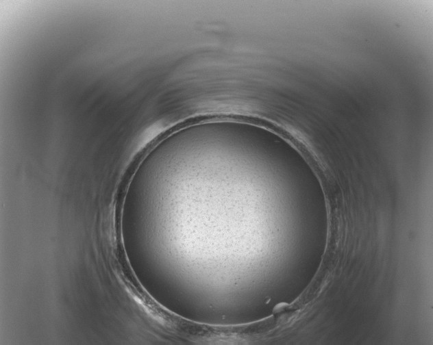 X0000081470982200701191801