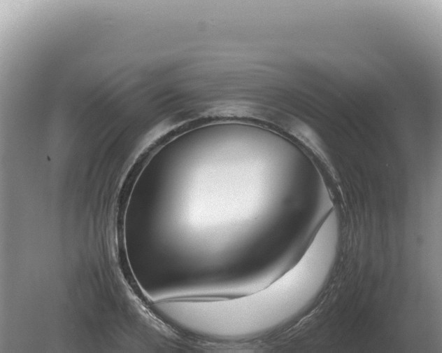 X0000081470984200701191801