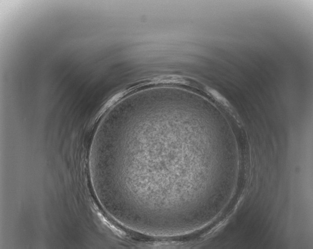 X0000081470985200701191801