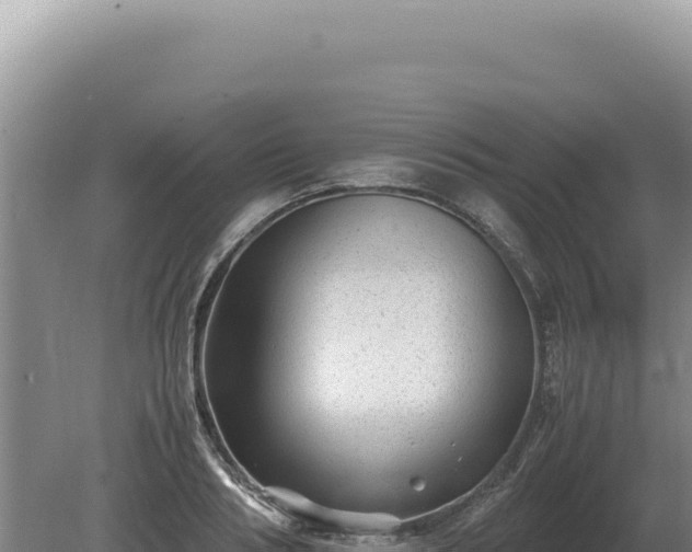 X0000081470986200701191801