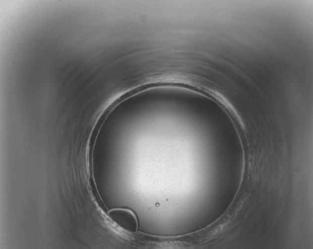 X0000081470988200701191801