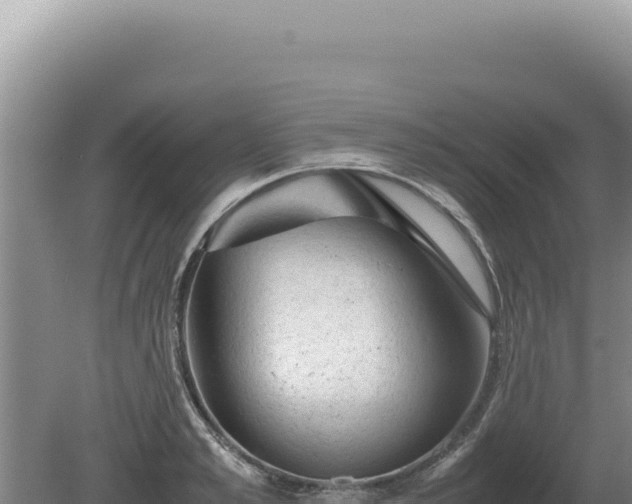 X0000081470989200701191801