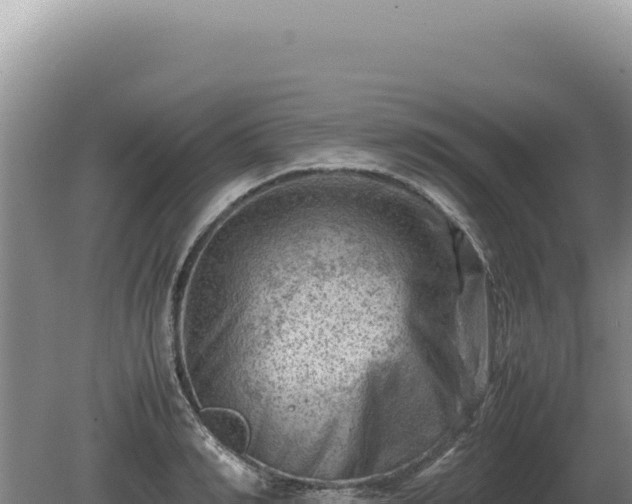 X0000081470990200701191801