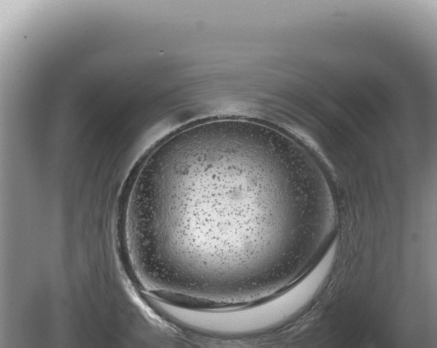 X0000081470991200701191801