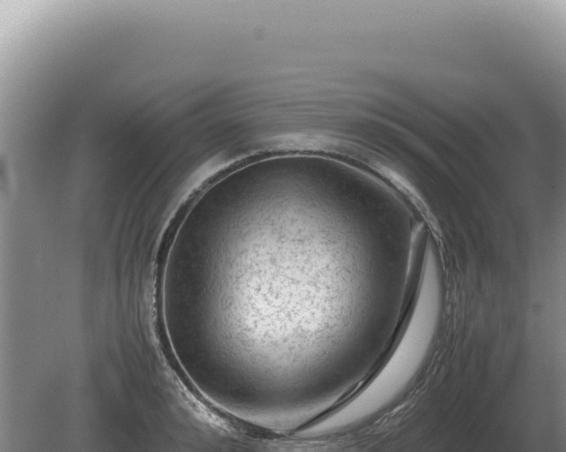 X0000081470992200701191801