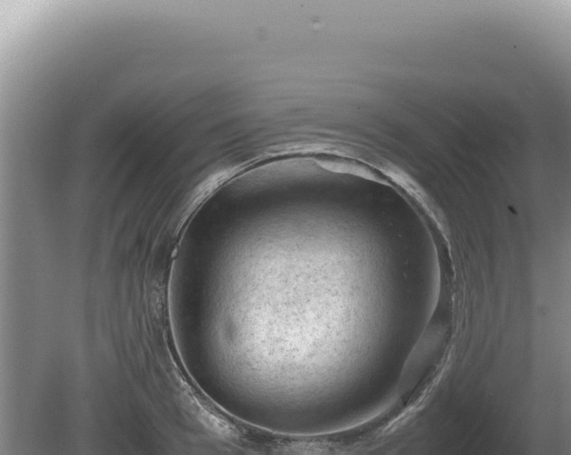 X0000081470993200701191801