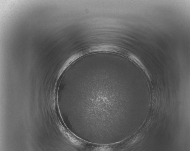 X0000081470994200701191801