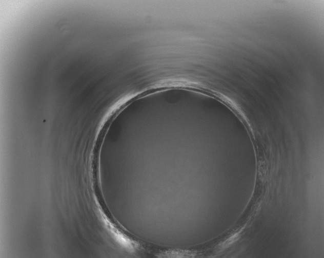 X0000081470995200701191801