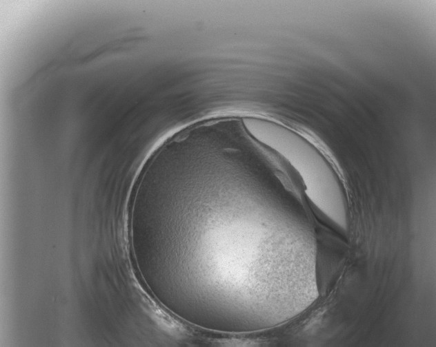 X0000081470996200701191801