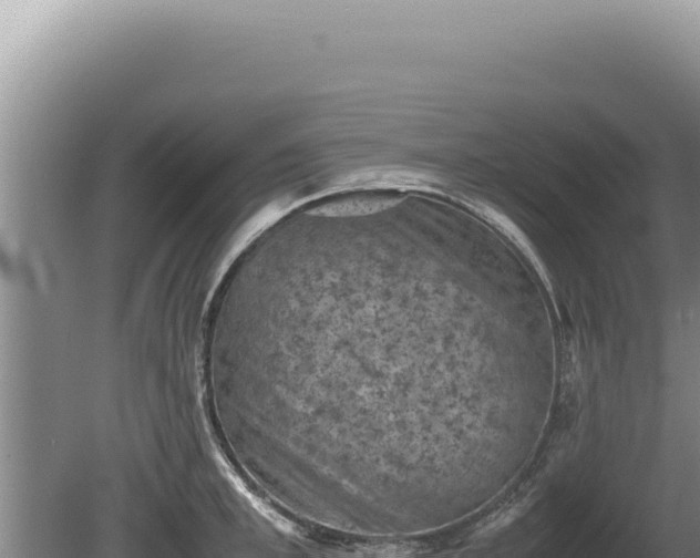 X0000081470997200701191801