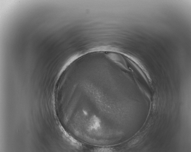 X0000081470998200701191801