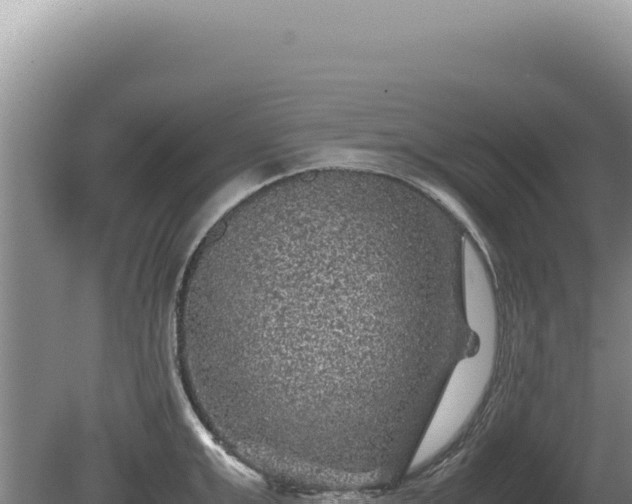 X0000081470999200701191801