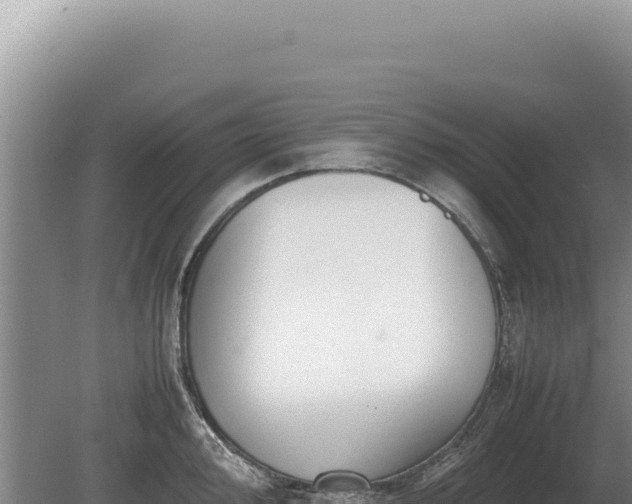 X0000081471000200701191801