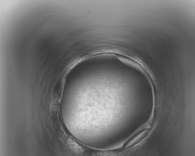 X0000081471001200701191801