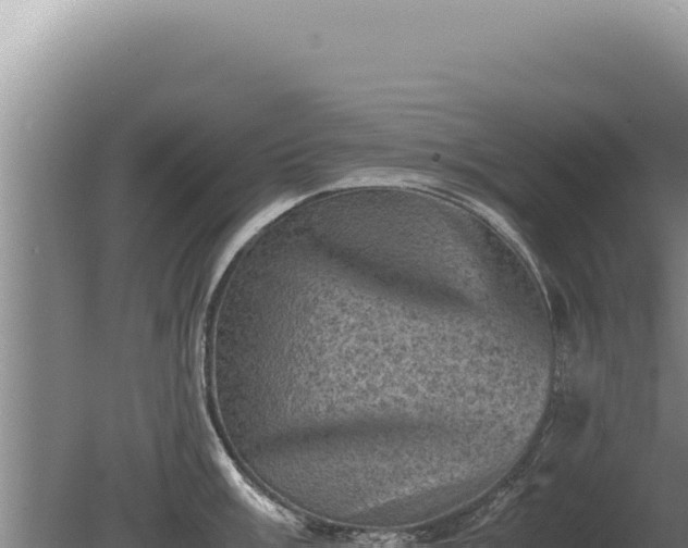 X0000081471003200701191801