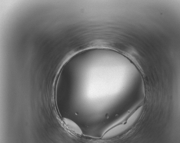 X0000081471004200701191801