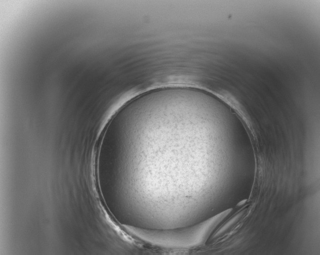 X0000081471006200701191801