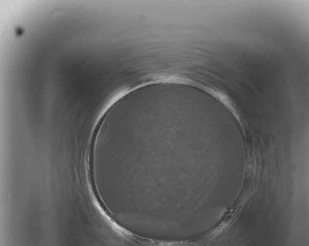 X0000081471007200701191801