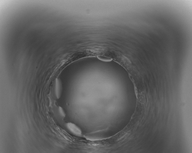 X0000081471009200701191800