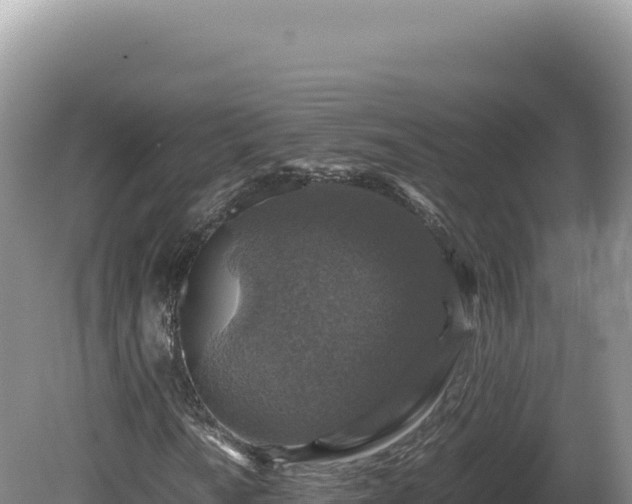 X0000081471010200701191800