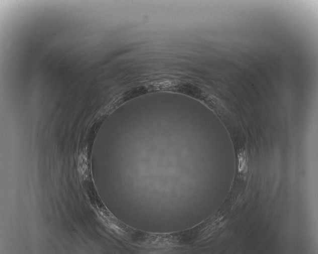 X0000081471011200701191800