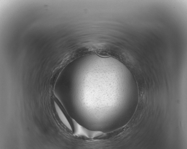 X0000081471012200701191800