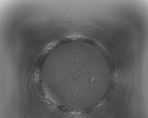 X0000081471014200701191800