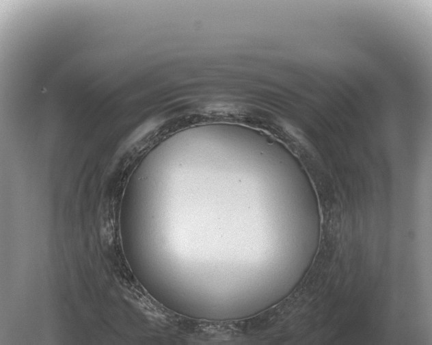 X0000081471015200701191800