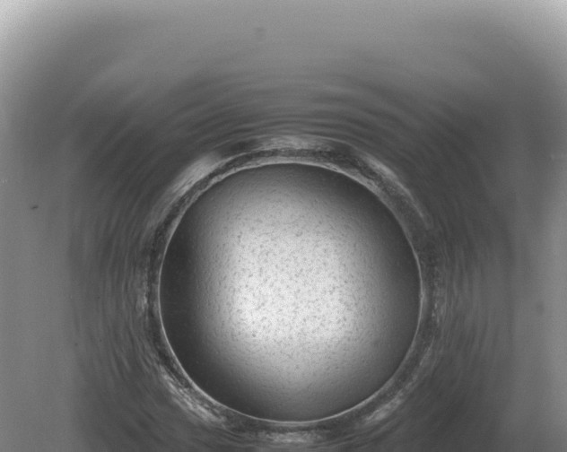 X0000081471017200701191800