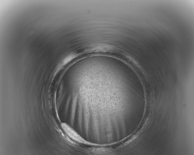 X0000081471018200701191800