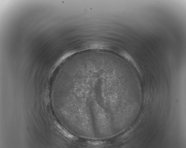 X0000081471019200701191800