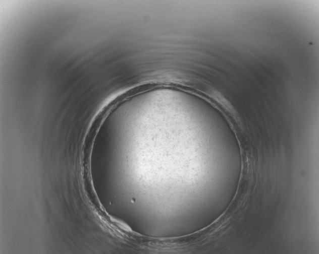 X0000081471020200701191800