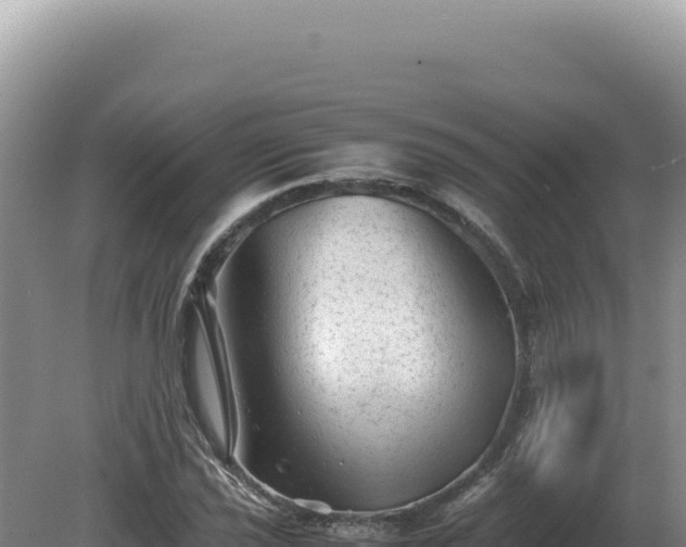 X0000081471021200701191800