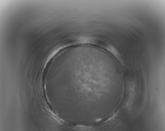 X0000081471023200701191800