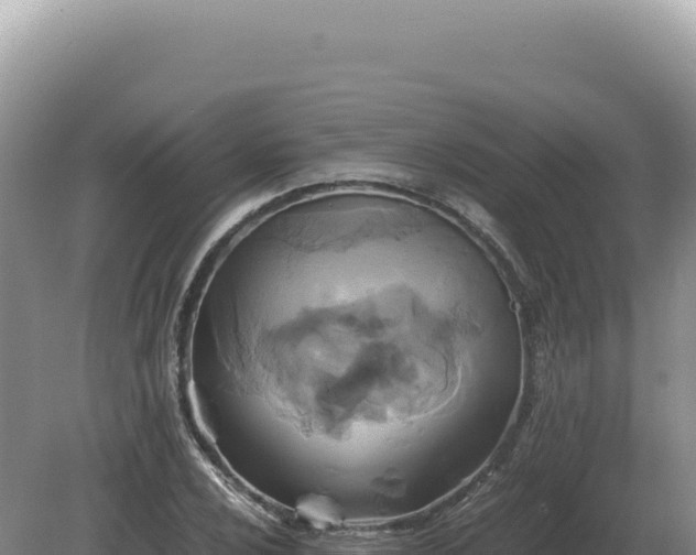 X0000081471024200701191800