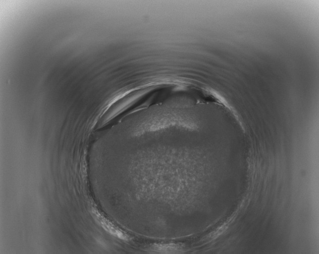 X0000081471025200701191800