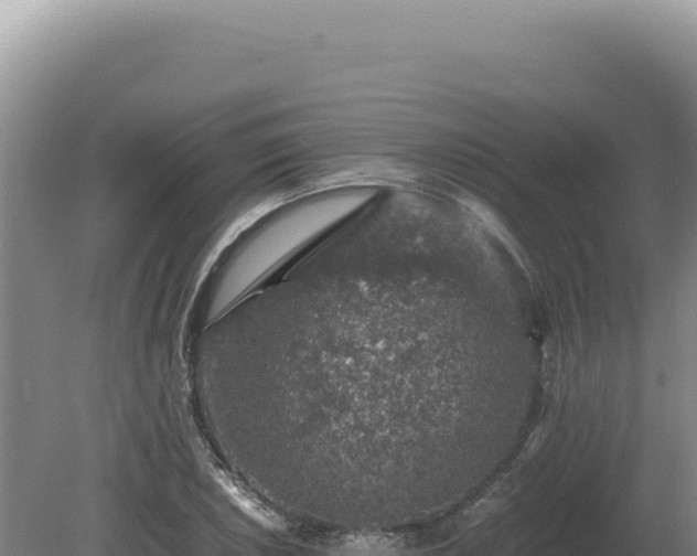 X0000081471026200701191800