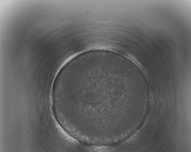 X0000081471028200701191800