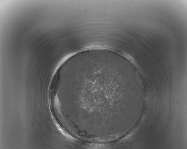 X0000081471030200701191800